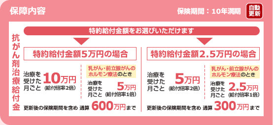 保障内容 保険期間:10年満期(自動更新)