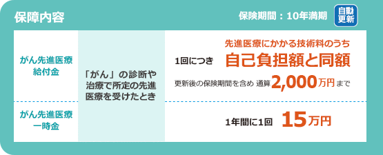 保障内容 保険期間:10年満期(自動更新)