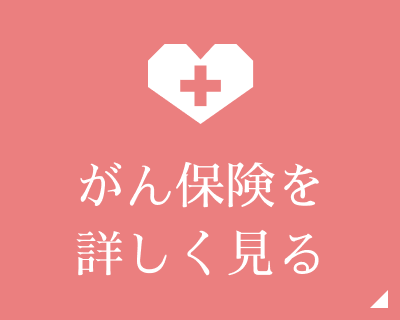 がん保険を詳しく見る