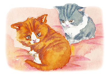 子猫二匹が毛布の上に乗っているイラスト