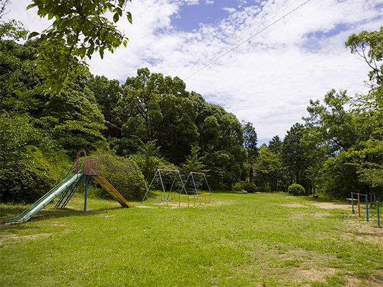 瞳さんのお気に入りだった、三池公園の写真