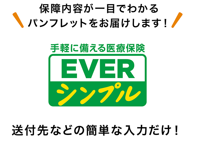 保障内容が一目でわかるパンフレットをお届けします！ 手軽に備える医療保険 EVERシンプル 送付先などの簡単な入力だけ！