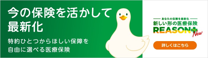 今の保険を活かして最新化 特約ひとつからほしい保障を自由に選べる医療保険 REASONダック あなたの保障を最新化 新しい形の医療保険 REASONプラス 詳しくはこちら