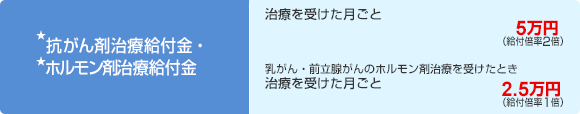 ★抗がん剤治療給付金・★ホルモン剤治療給付金 治療を受けた月ごと 5万円(給付倍率2倍) 乳がん・前立腺がんのホルモン剤治療を受けたとき 治療を受けた月ごと 2.5万円(給付倍率1倍)