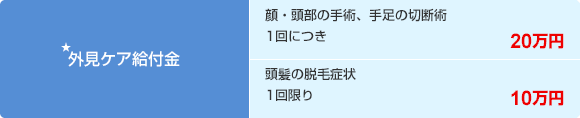 ★外見ケア給付金 顔・頭部の手術、手足の切断術 1回につき 20万円 頭髪の脱毛症状 1回限り 10万円