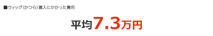 ウィッグ購入にかかった費用 平均11.7万円 出典：がん罹患者およびその家族へのアンケート調査（2017年8月アフラック実施）