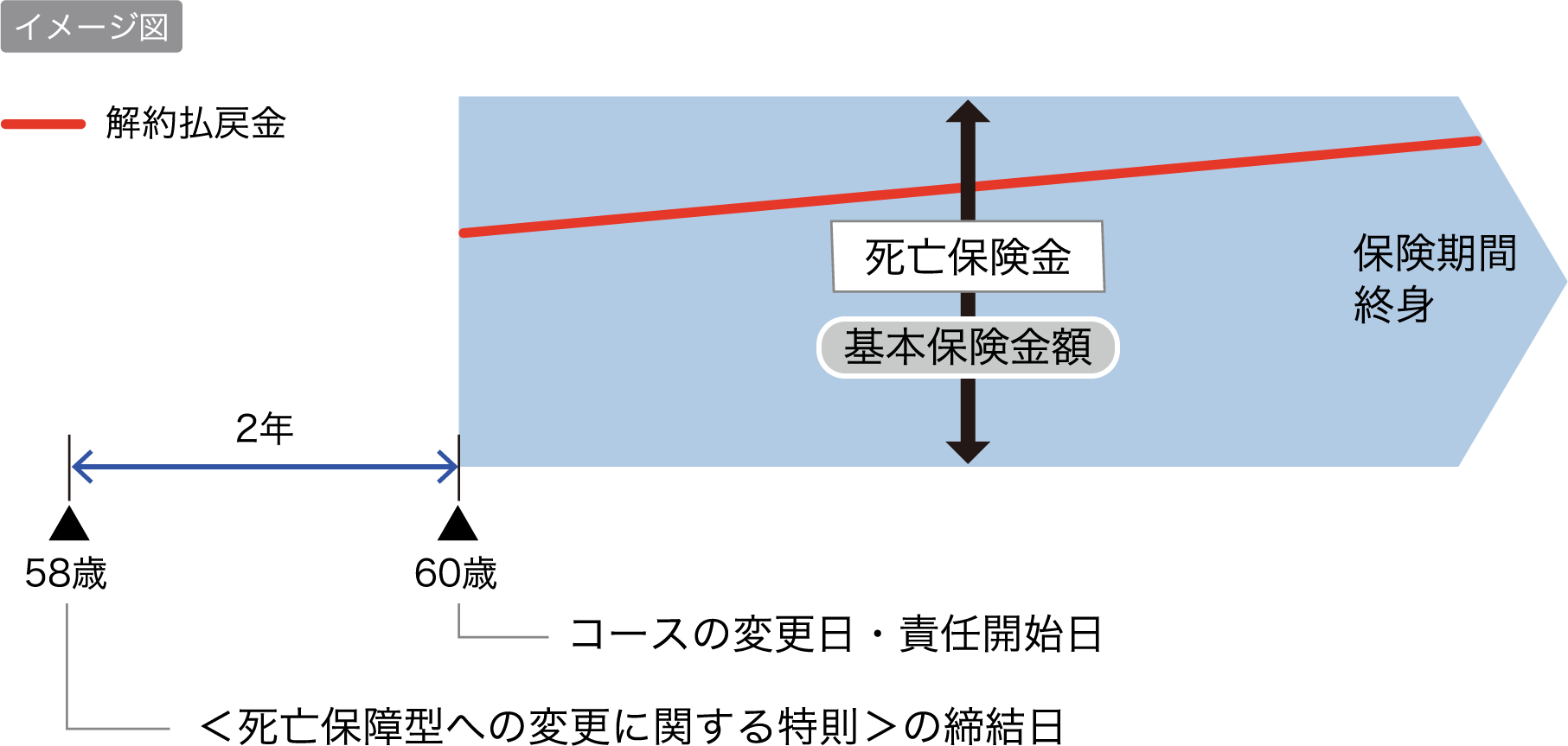 イメージ図 58歳＜死亡保障型への変更に関する特則＞の締結日から60歳コースの変更日・責任開始日まで2年 基本保険金額は死亡保険金 保険期間終身 解約払戻金
