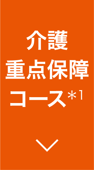 介護重点保障コース＊1