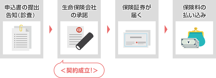 申込書の提出 告知（診査） → 生命保険会社の承諾 ＜契約成立！＞ → 保険証券が届く → 保険料の払い込み