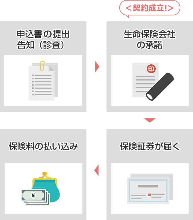 申込書の提出 告知（診査） → 生命保険会社の承諾 ＜契約成立！＞ → 保険証券が届く → 保険料の払い込み