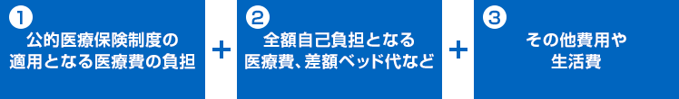 がんにかかる費用 1 公的医療保険制度の適用となる医療費の負担 ＋ 2 全額自己負担となる医療費、差額ベッド代など ＋ 3 その他費用や生活費