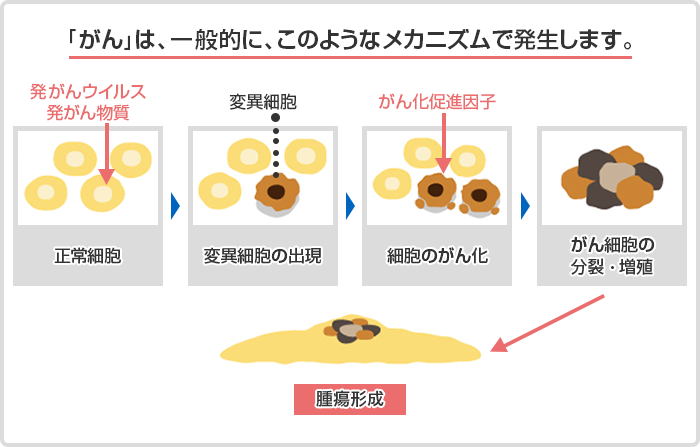 悪性 新 生物 と は