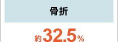 骨折 約32.5％