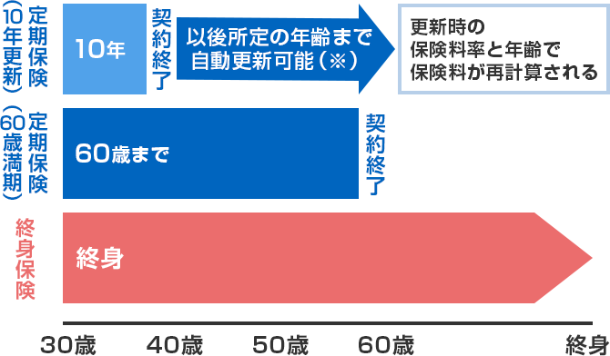 定期保険（10年更新） 10年 契約終了 以後所定の年齢まで自動更新可能（※） 更新時の保険料率と年齢で保険料が再計算される 定期保険（60歳満期） 60歳まで 契約終了 終身保険 終身