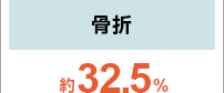 骨折 約32.5％