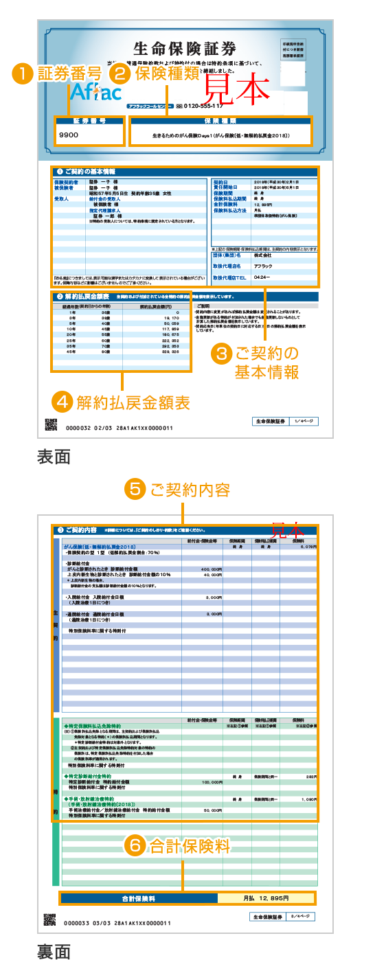 保険証券（見本）