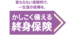 変わらない保険料で、一生涯の保障を。かしこく備える終身保険