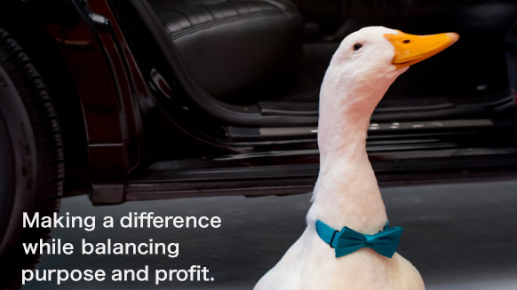Making a difference while balancing purpose and profit. ダック