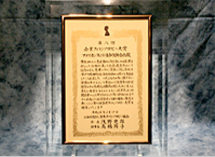 保険業界初 第8回「企業フィランソロピー大賞」賞状の写真