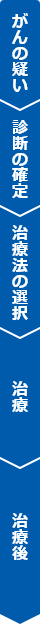 がんの疑い 診断の確定 治療法の選択 治療 治療後