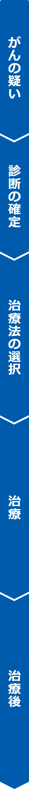 がんの疑い 診断の確定 治療法の選択 治療 治療後