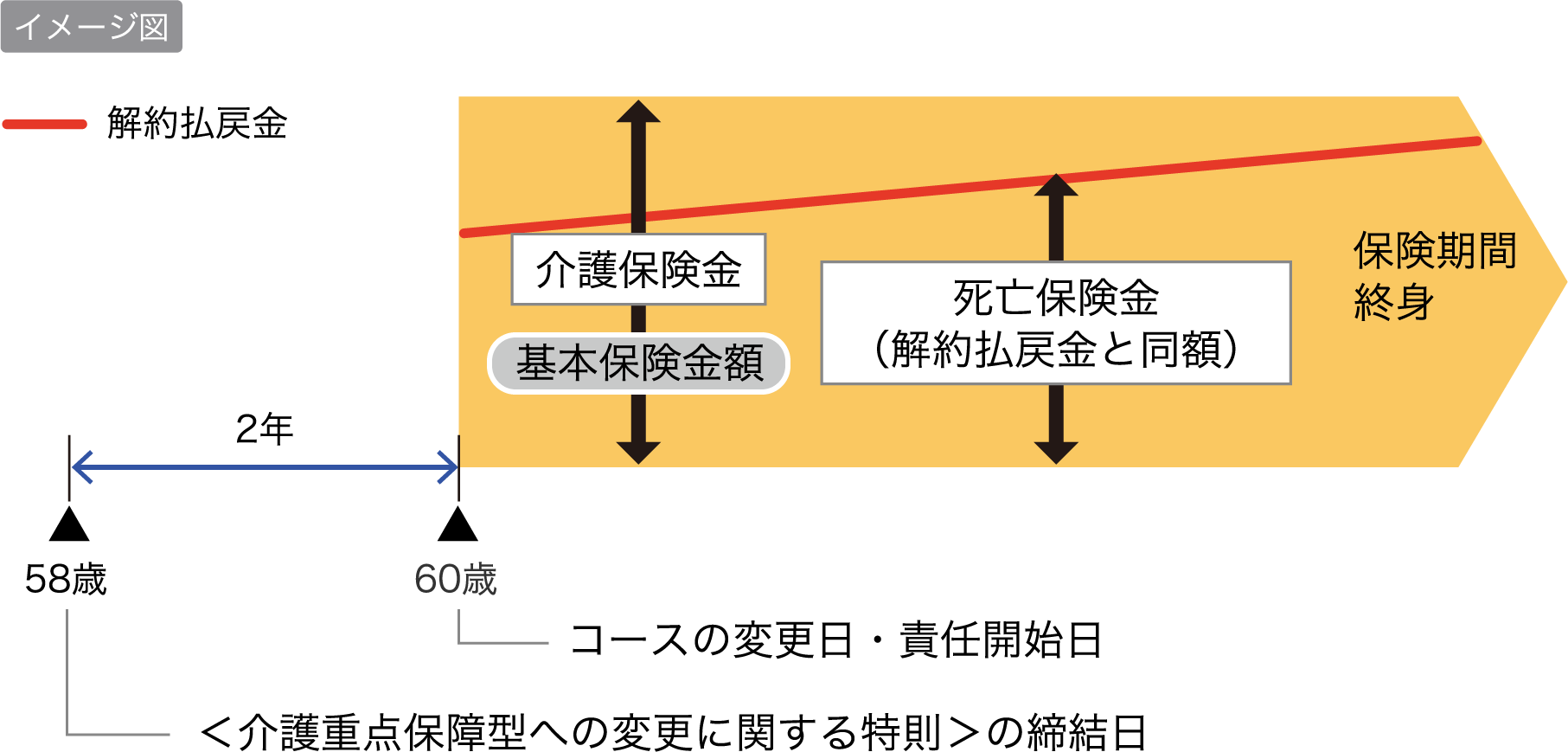 イメージ図 58歳＜介護重点保障型への変更に関する特則＞の締結日から60歳コースの変更日・責任開始日まで2年 基本保険金額は介護保険金 死亡保険金は解約払戻金と同額 保険期間終身