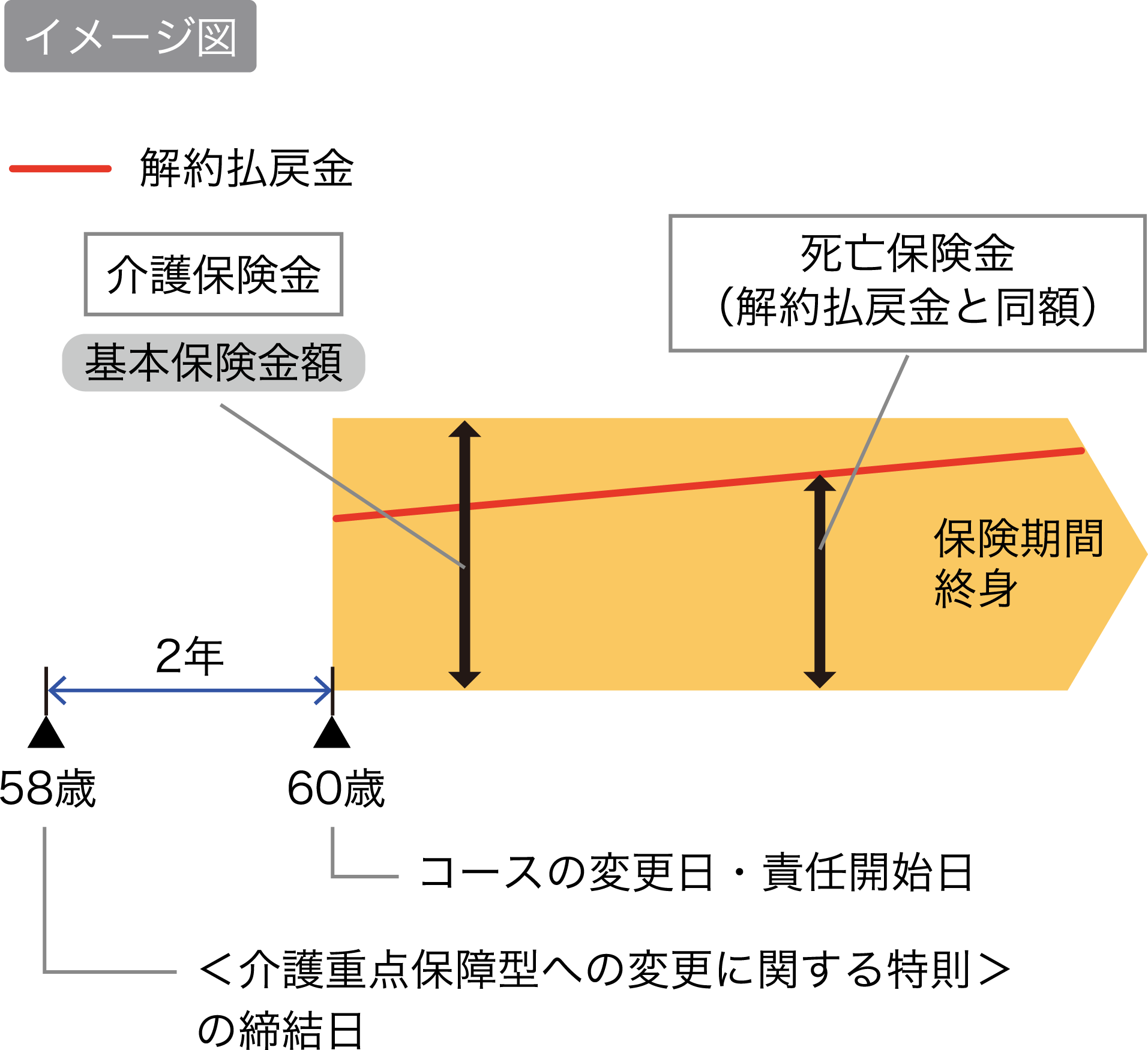 イメージ図 58歳＜介護重点保障型への変更に関する特則＞の締結日から60歳コースの変更日・責任開始日まで2年 基本保険金額は介護保険金 死亡保険金は解約払戻金と同額 保険期間終身