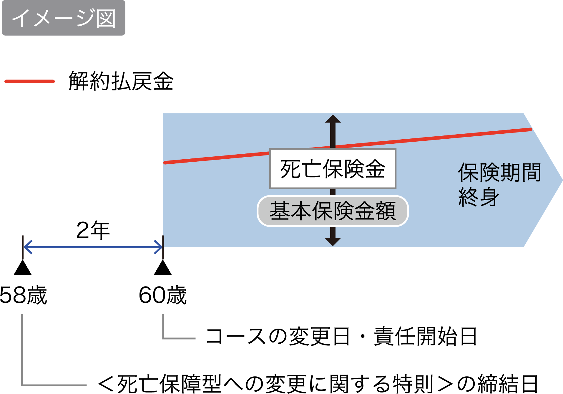 イメージ図 58歳＜死亡保障型への変更に関する特則＞の締結日から60歳コースの変更日・責任開始日まで2年 基本保険金額は死亡保険金 保険期間終身 解約払戻金