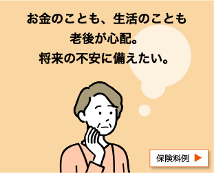 お金のことも、生活のことも老後が心配。将来の不安に備えたい。保険料例