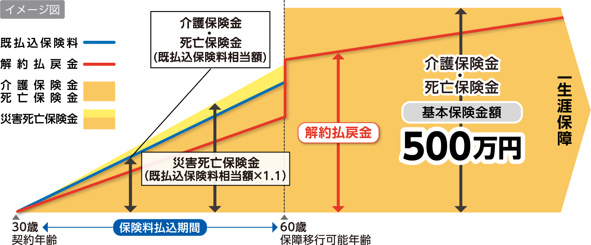 イメージ図 保険料払込期間（契約年齢30歳から保障移行可能年齢60歳まで）は介護保険金・死亡保険金は既払込保険料相当額 災害死亡保険金は既払込保険料相当額×1.1 基本保険金額500万円 解約払戻金  一生涯保障