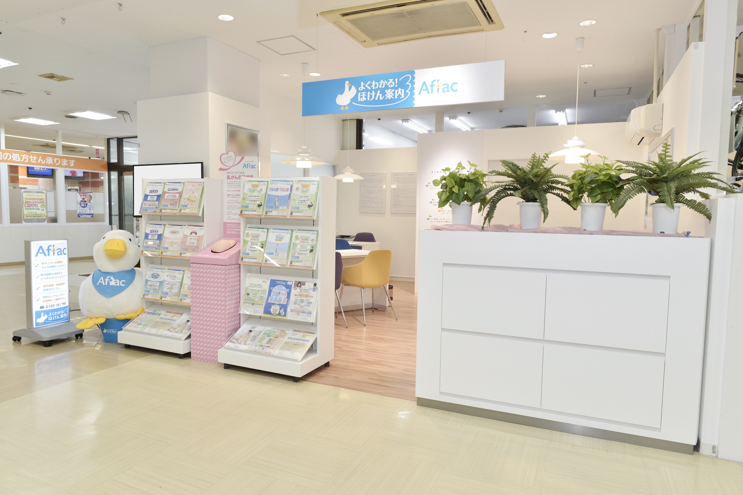 店内・スタッフの紹介01