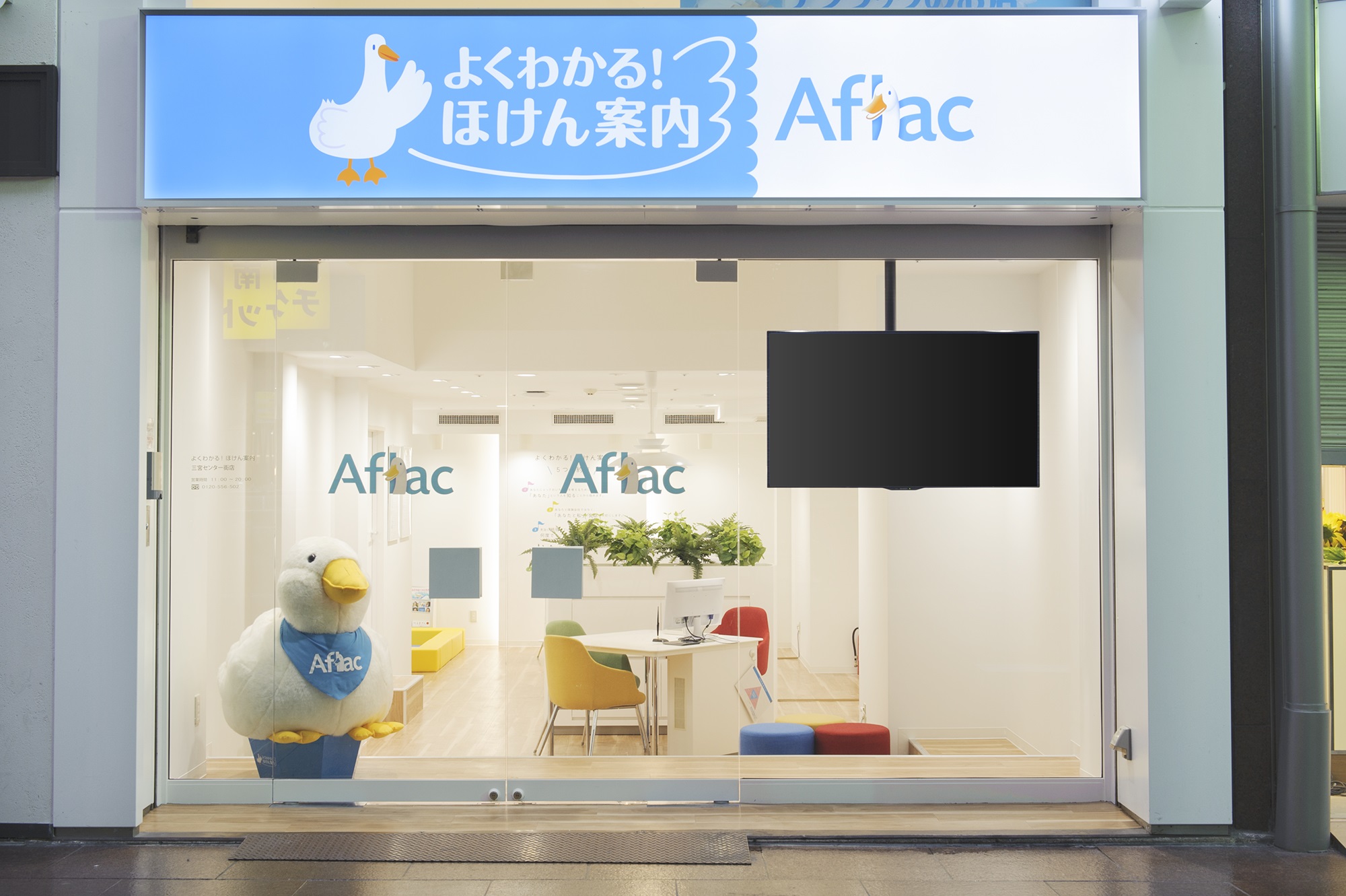 店内・スタッフの紹介01