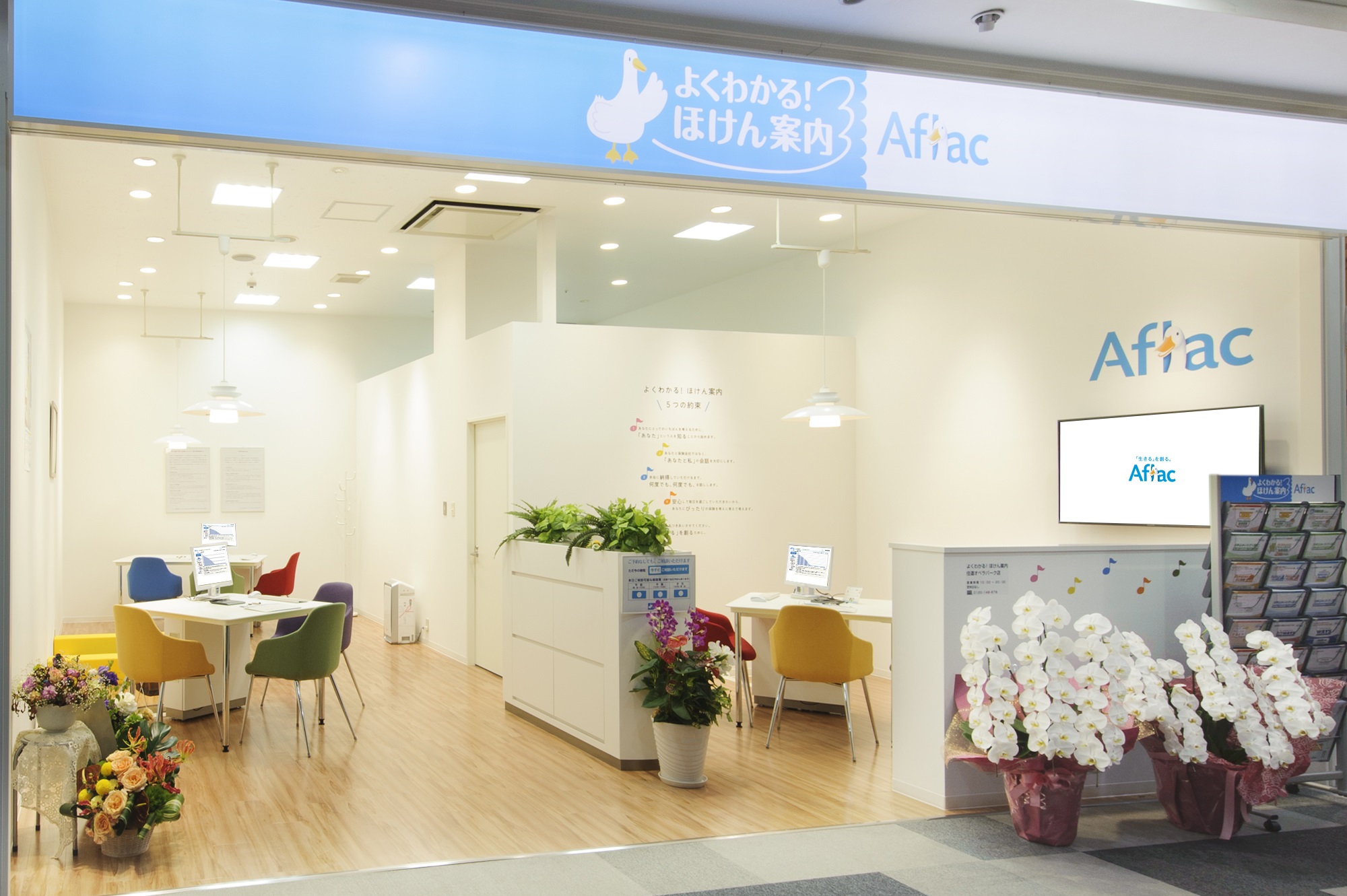 店内・スタッフの紹介01