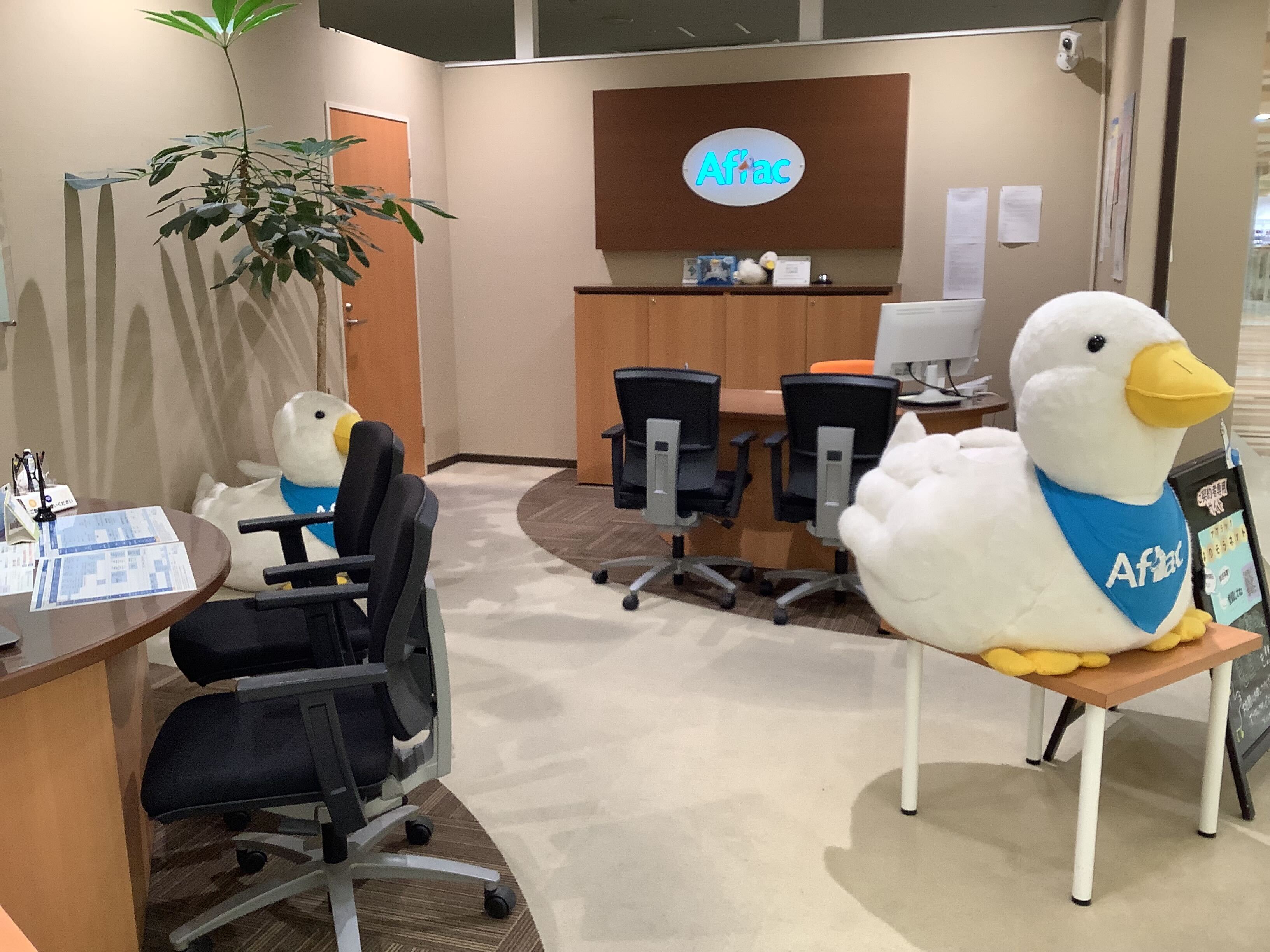 店内・スタッフの紹介01