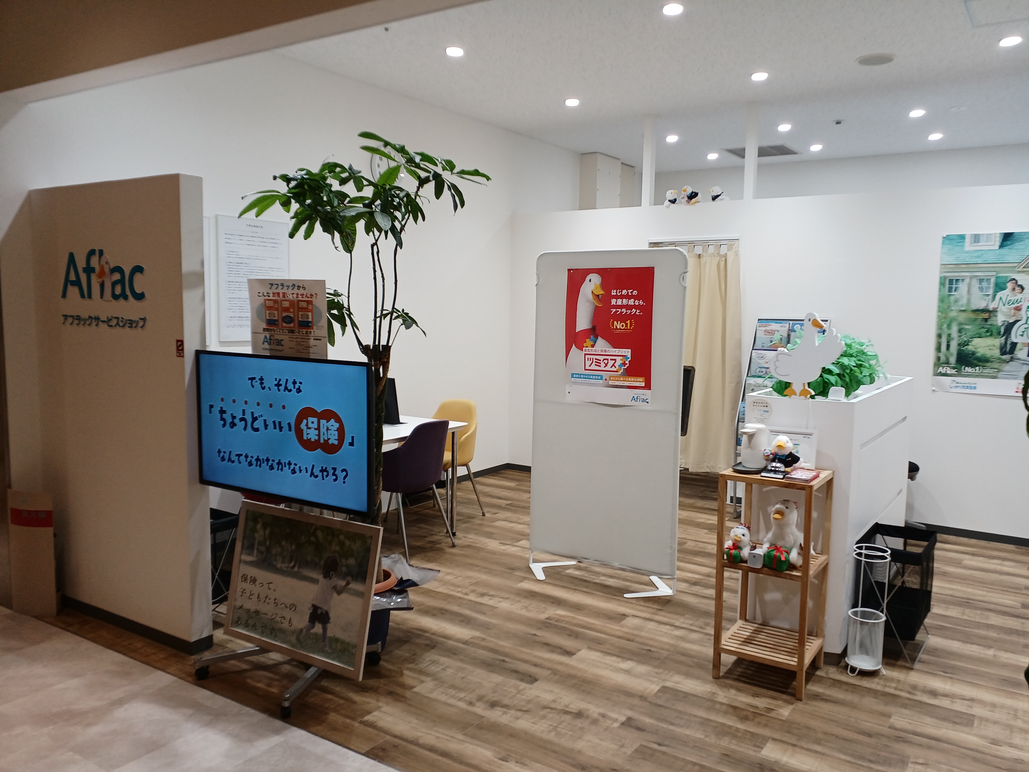 店内・スタッフの紹介01