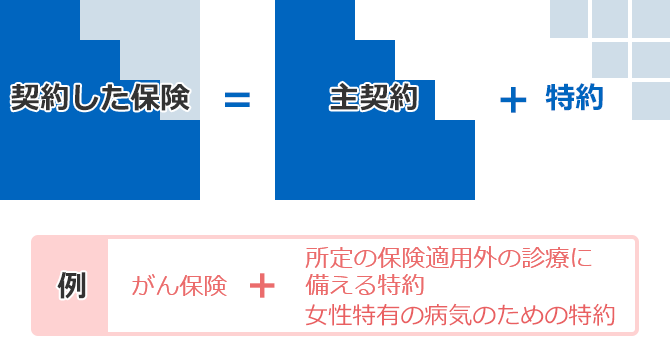 契約した保険 ＝ 主契約 ＋ 特約 例 がん保険 ＋ 所定の保険適用外の診療に備える特約 女性特有の病気のための特約