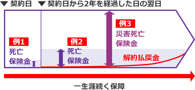 契約日 例1 死亡保険金 契約日から2年を経過した日の翌日 例2 死亡保険金 例3 災害死亡保険金 解約払戻金 一生涯続く保障