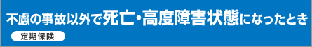 不慮の事故以外で死亡・高度障害状態になったとき(定期保険)
