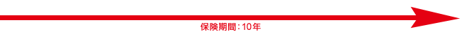 保険期間：10年