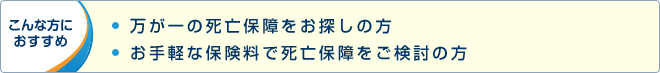 こんな方におすすめ：万が一の死亡保障をお探しの方 お手軽な保険料で死亡保障をご検討の方